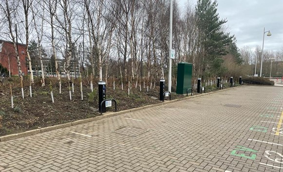 Electric vehicle charging posts and planting